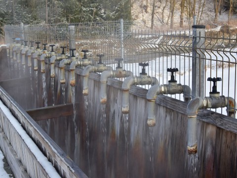 2019-01-02_2019_Chochołowskie Termy